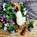 GAZEBOS - Decorative wooden ducks